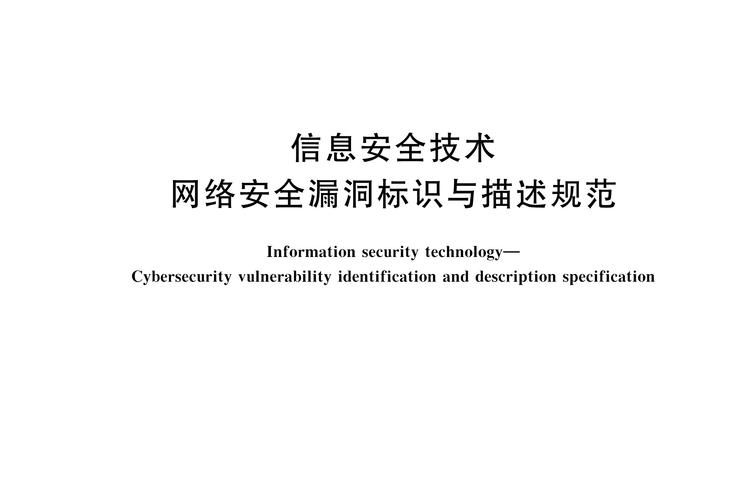 p>《信息安全技术—网络安全漏洞标识与描述规范》(gb/t 28458-2020)